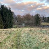 DZIAŁKA Z LINIĄ BRZEGOWĄ  | Parsów, gm. Bielice