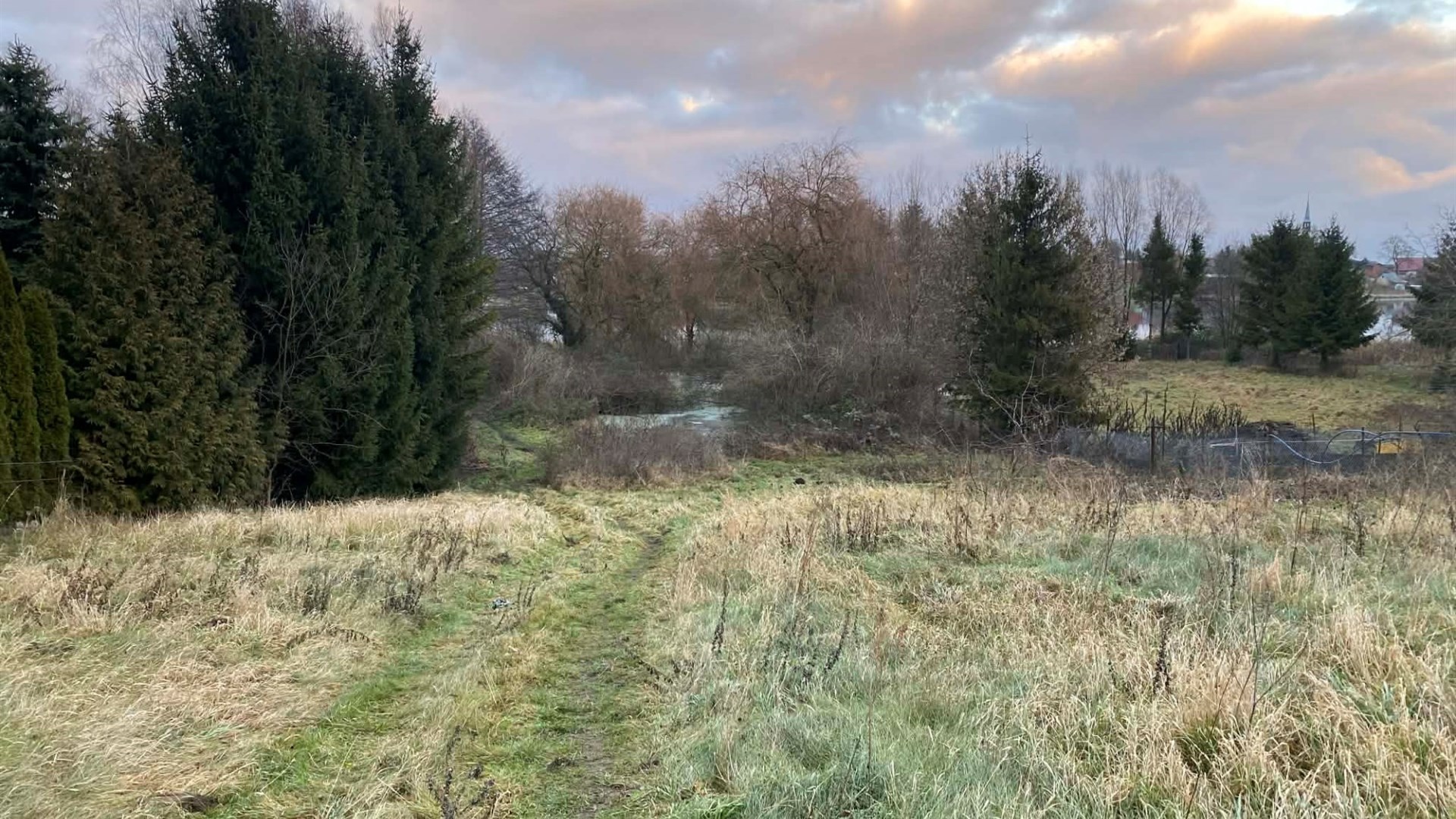 DZIAŁKA Z LINIĄ BRZEGOWĄ  | Parsów, gm. Bielice