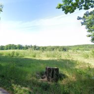 działka rolna 19 ha koło Węgorzyna