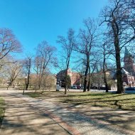 Na sprzedaż wyjątkowe mieszkanie w kamienicy 