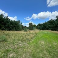 działka z widokiem na zieleń