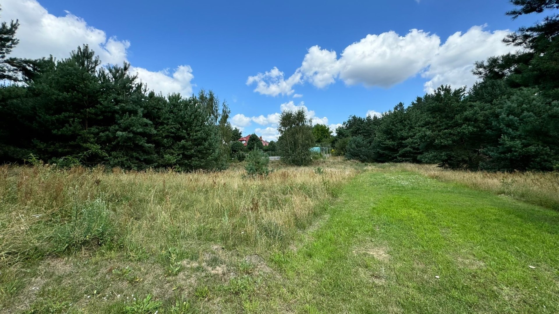 działka z widokiem na zieleń