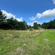 działka z widokiem na zieleń