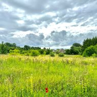 WZ na 2 domy jednorodzinne- widok na Odrę