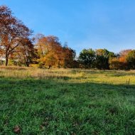 Sprzedaż działka rolna blisko Węgorzyno!