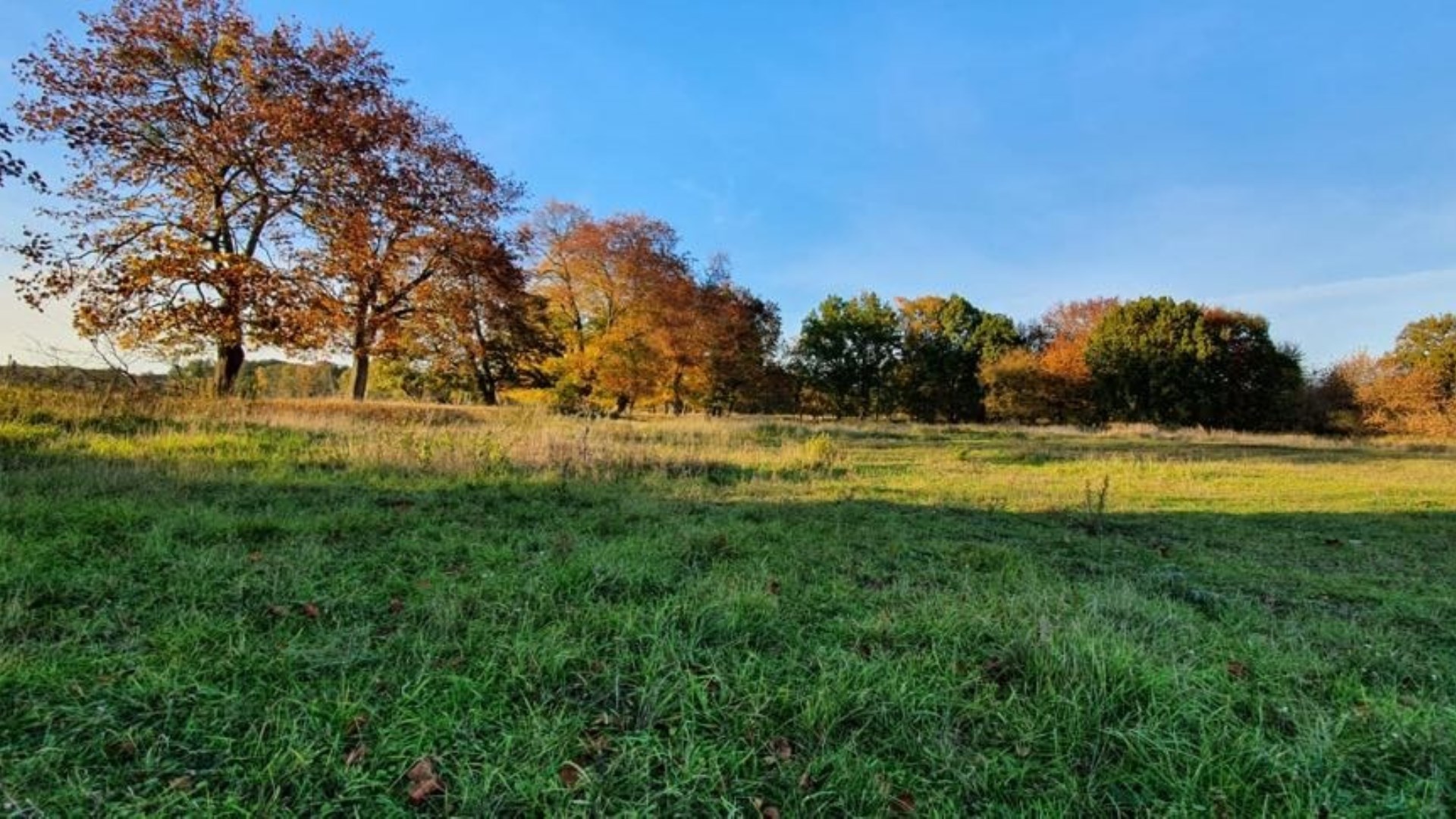 Sprzedaż działka rolna blisko Węgorzyno!