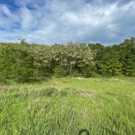 Sprzedaż działka rolna w Czermnicy, gmina Nowogard