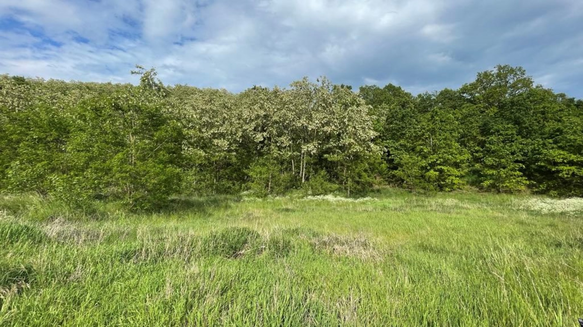 Sprzedaż działka rolna w Czermnicy, gmina Nowogard