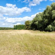 działka rolna 5,15 ha, Stolec, gmina Dobra!
