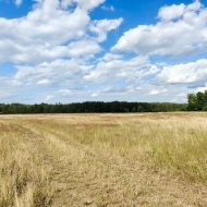 działka rolna 5,15 ha, Stolec, gmina Dobra!