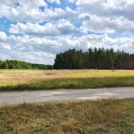 działka rolna 5,15 ha, Stolec, gmina Dobra!