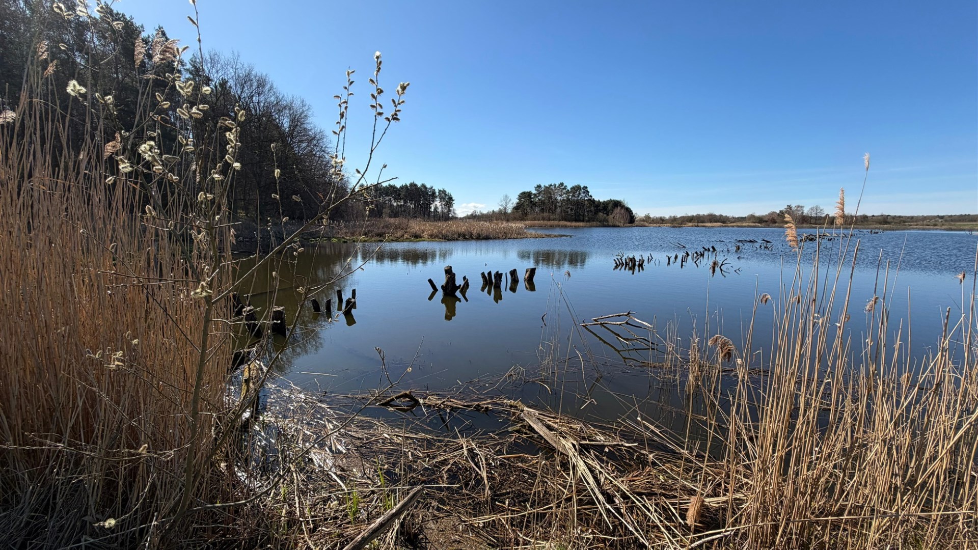 Działka przy lesie i wodzie 
