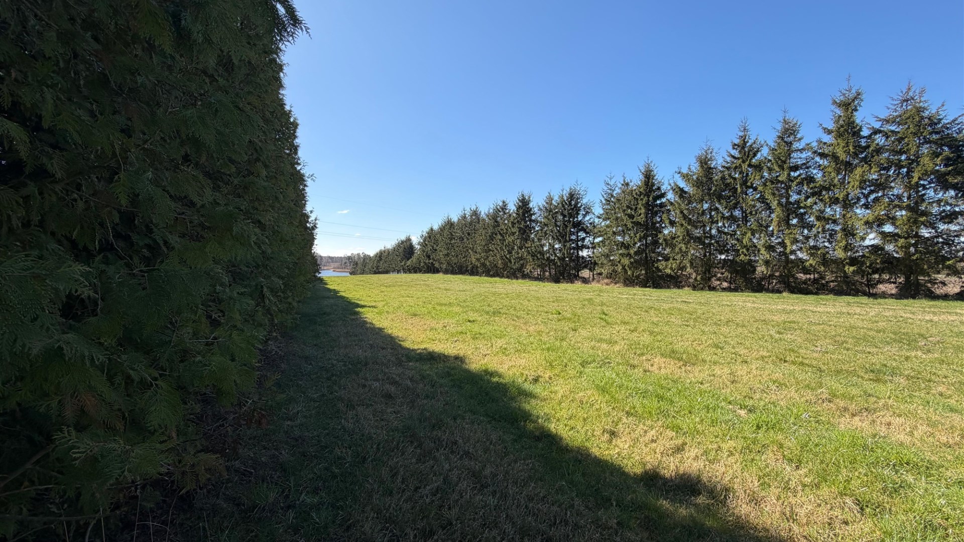 Działka przy lesie i wodzie 