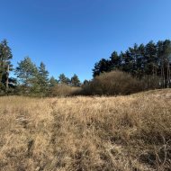 Działka rolna na sprzedaż – Żórawie