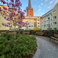 2 pokoje -Stare Miasto, ciche i klimatyczne 