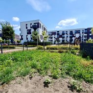 Wynajem 2 pokojowe mieszkanie, ogródek, Gumieńce!