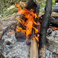 Dom wolnostojący z dużą działką, stajnią i garażem