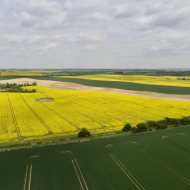Dom wolnostojący z dużą działką, stajnią i garażem