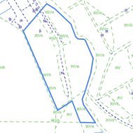 GUMIEŃCE DZIAŁKA 1,5 HA - PLAN ZAGOSPODAROWANIA 