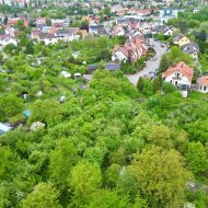 GUMIEŃCE DZIAŁKA 1,5 HA - PLAN ZAGOSPODAROWANIA 