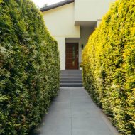 128 m2 | 4 pokoje | Ogród | Las | Taras