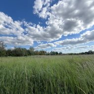 Działka z MPZP// 1226m2