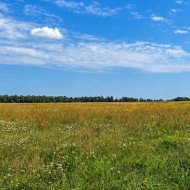 Działka Inwestycyjna z WZ Farma PV 7 MW
