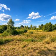 Działki nad jeziorem